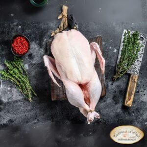 Świeża tuszka kaczki na kamiennym blacie